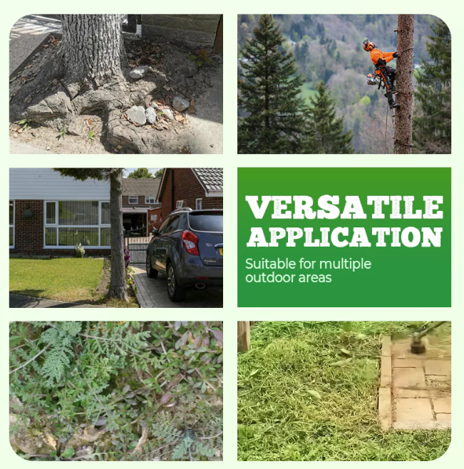 🔥BUY 1 GET 3 FREE🔥Powerful Ready-Mixed Weed & Root Killer